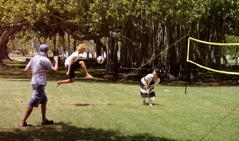 Hawaiian Activities